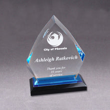 Load image into Gallery viewer, Awards