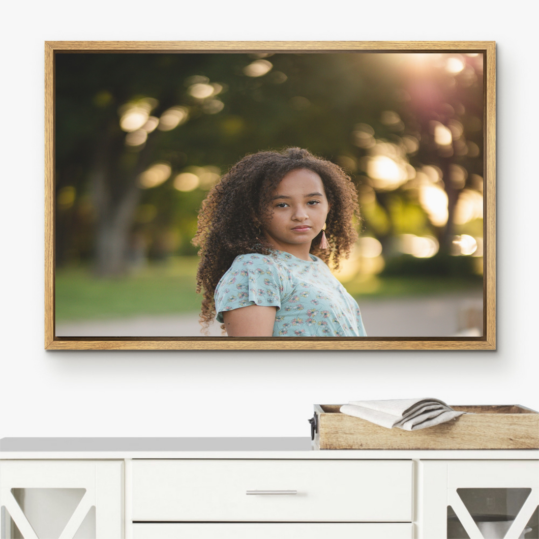 Framed Canvas